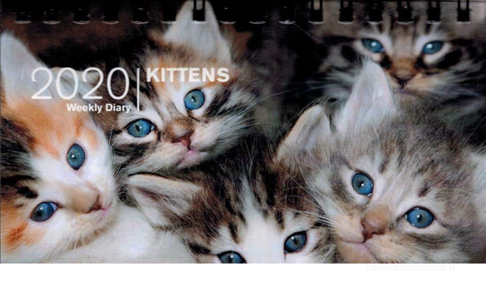 Kittens 2020. Agenda settimanale spiralata small