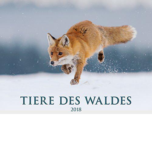 Calendario da muro Gli animali del bosco 2018